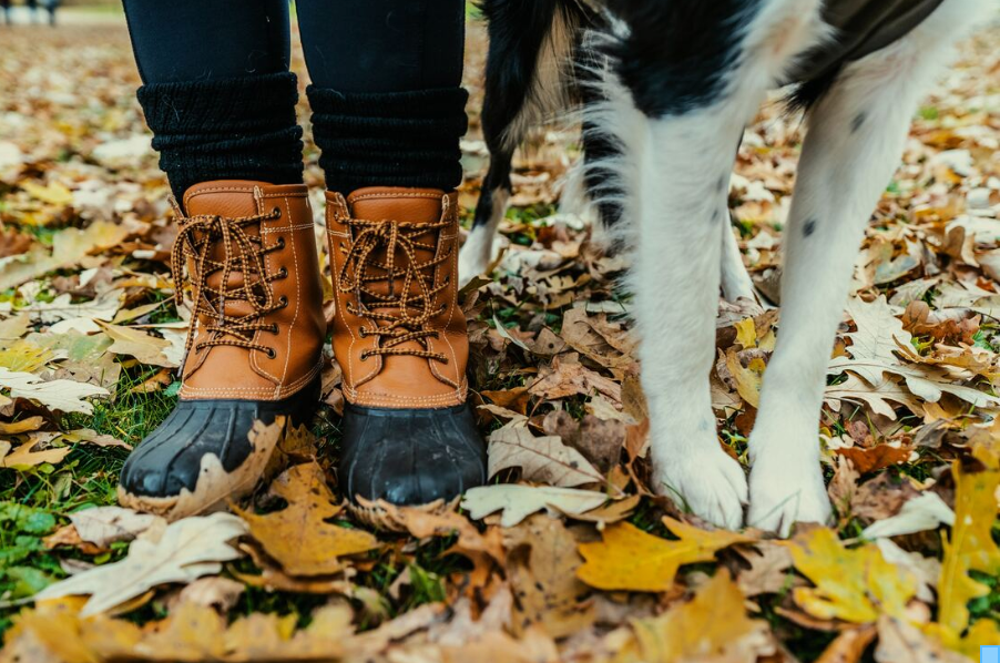 Dog and their human boots next to paws standing in leaves